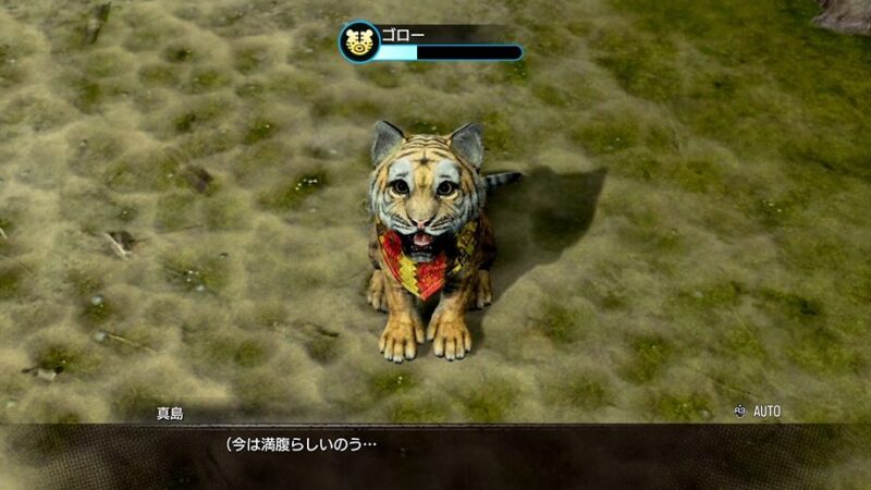 【龍が如く8外伝 Pirates in Hawaii】動物の飼育方法の詳細解説 